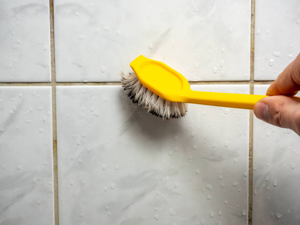 Mold Testing and Removal in North Eagle Butte, SD
