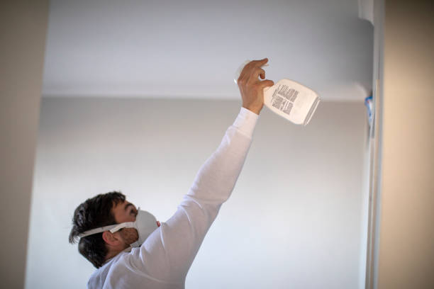 Best Commercial Mold Removal  in North Eagle Butte, SD