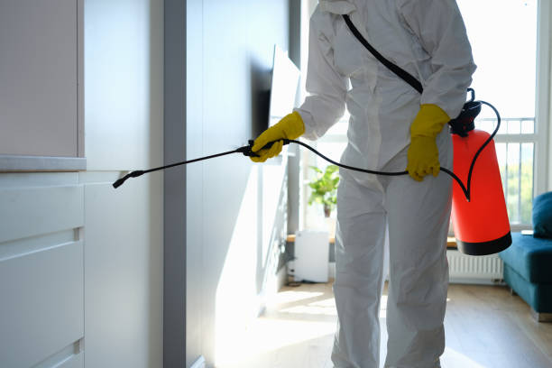 Best Black Mold Removal  in North Eagle Butte, SD