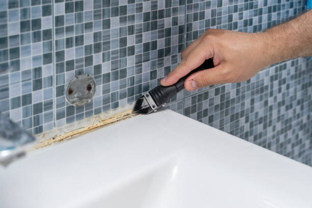Best Office Mold Removal Services  in North Eagle Butte, SD