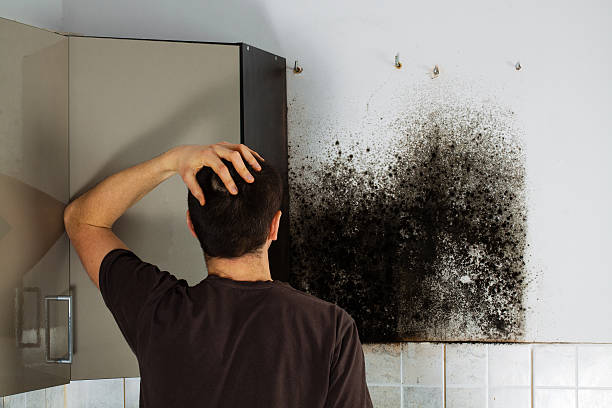 Best Mold Cleaning Services  in North Eagle Butte, SD